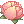 Charming_Lotus.png