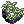 Dew_Laden_Moss.gif