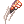 Falconer_Claw.png