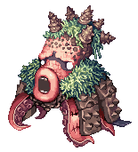 Giant Octopus