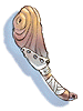 Slide 5