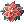 Pinguicula_Corsage.gif