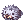 Sea-Otter_Hat.gif